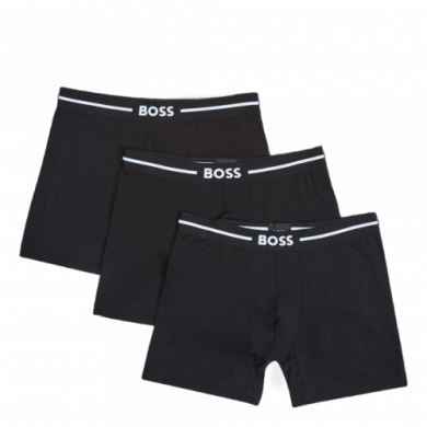 Briefs